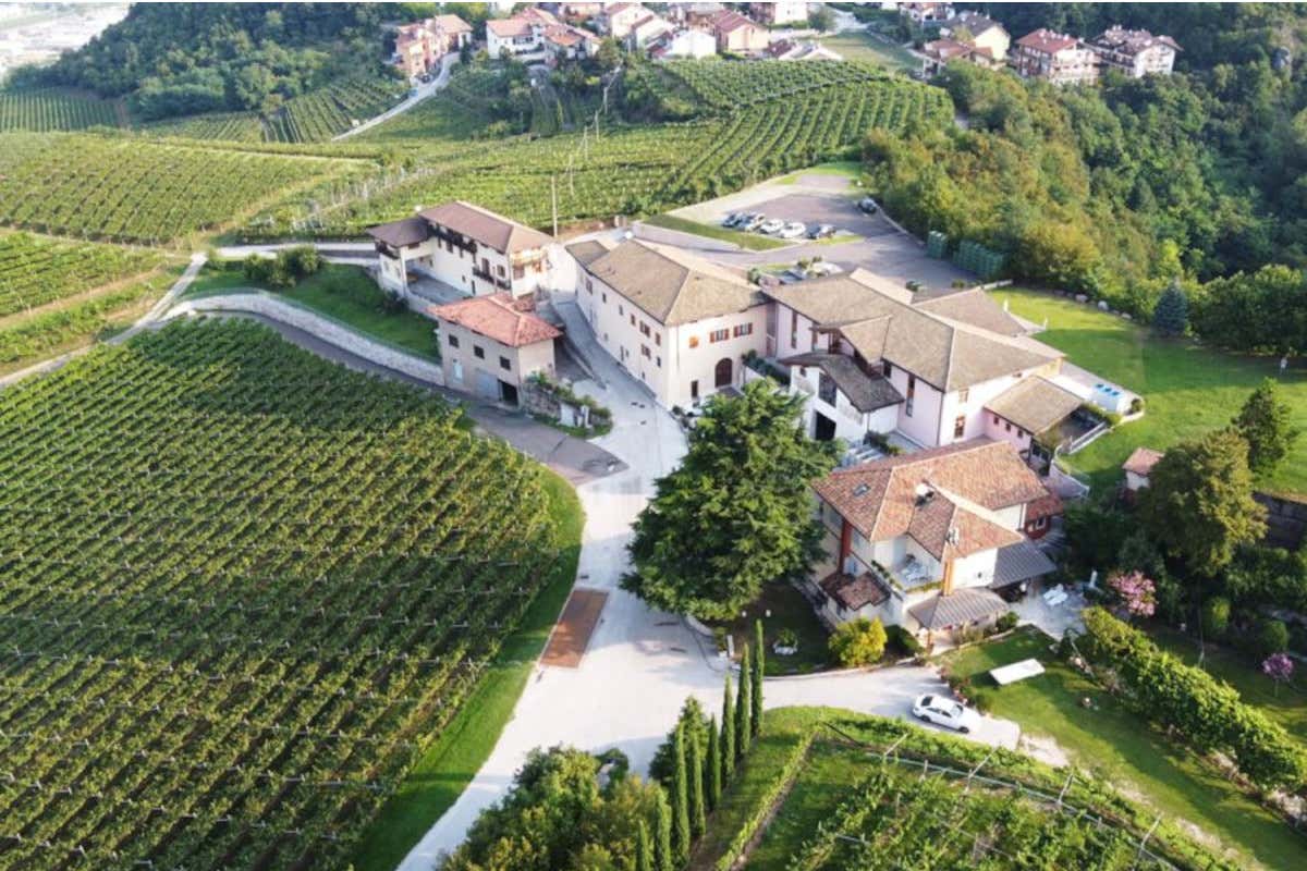 Un picnic tra i vigneti del Trentino di Francesco Moser